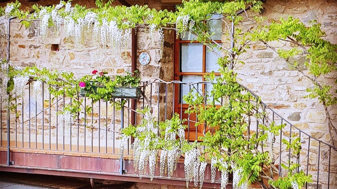 Podere Conti Landhaus Filattiera
