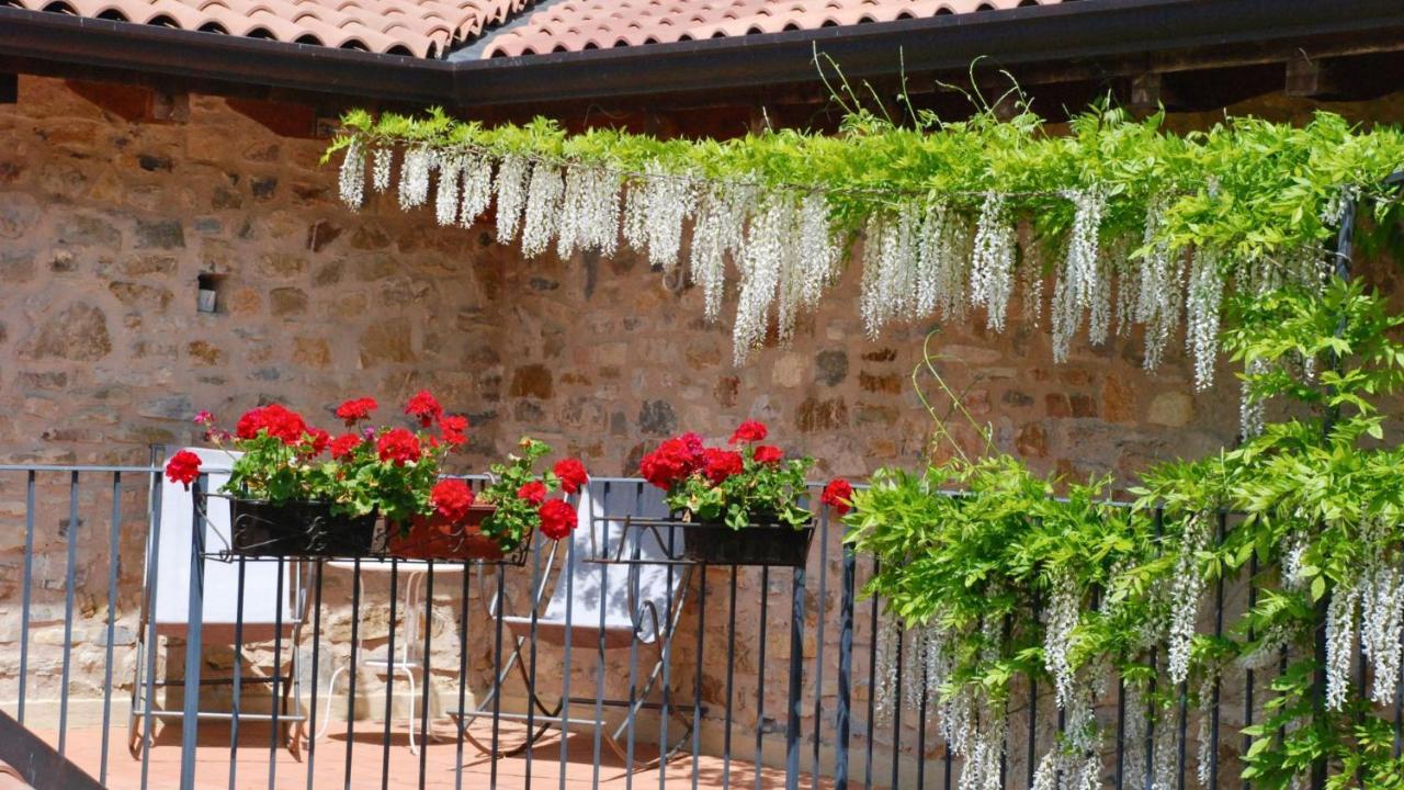 Podere Conti
