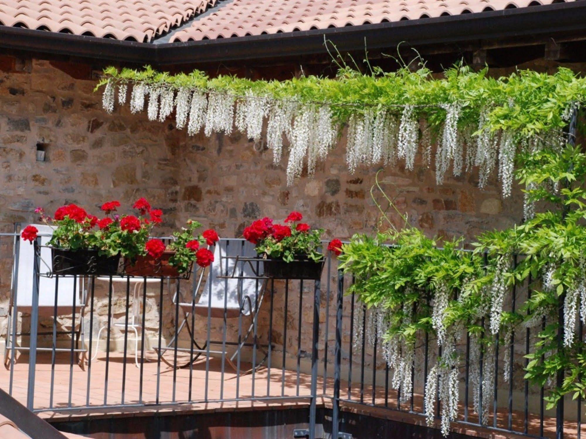 Country house Podere Conti *